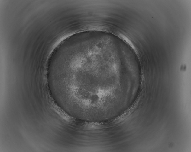 X0000090761019200708031625