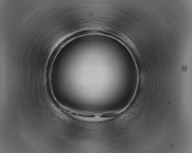 X0000090761020200708031625