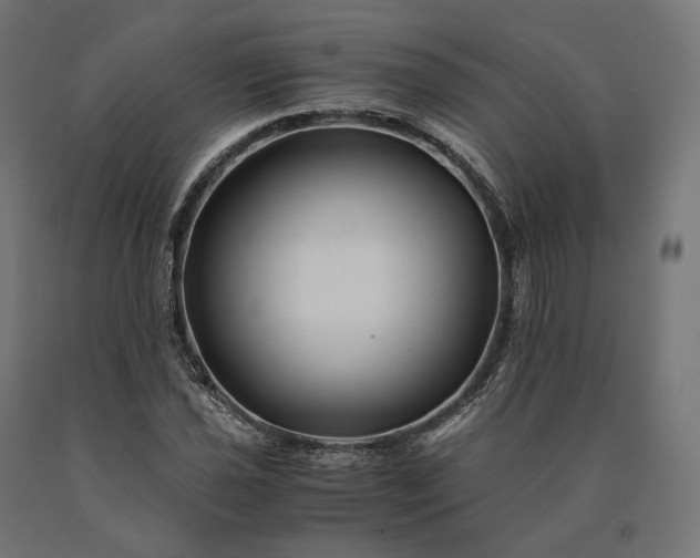 X0000090761021200708031625