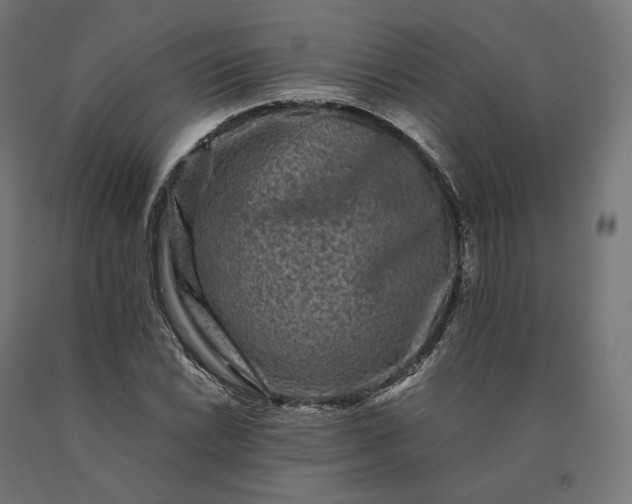 X0000090761022200708031625