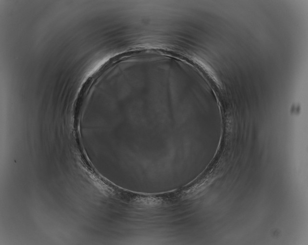 X0000090761023200708031625