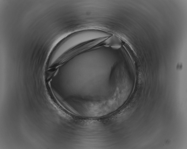 X0000090761024200708031625