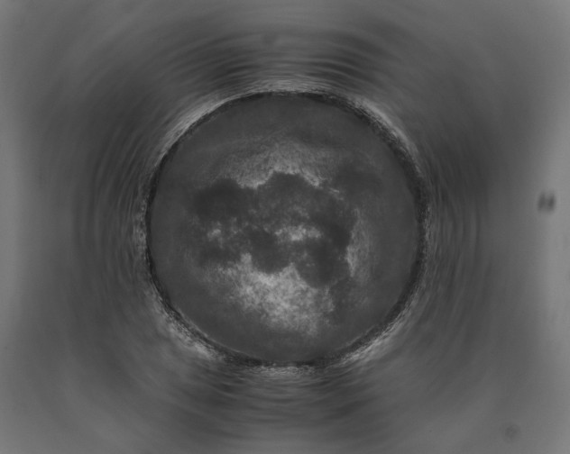 X0000090761025200708031625