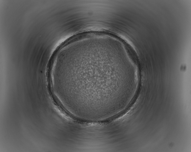 X0000090761026200708031625