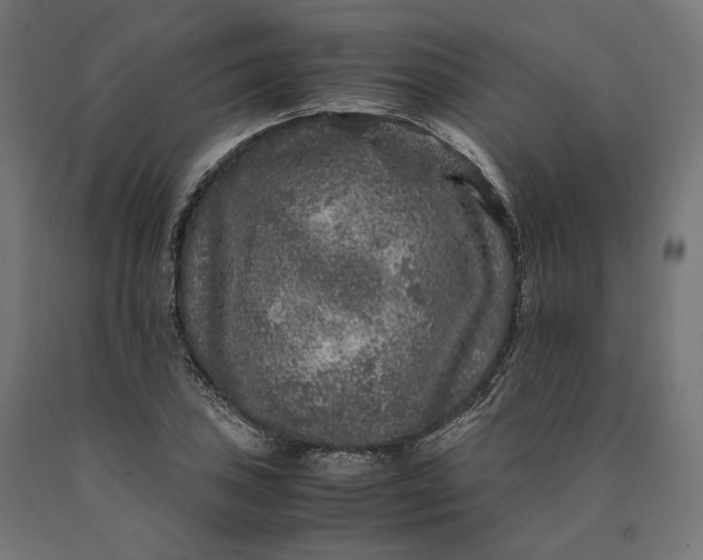 X0000090761027200708031626