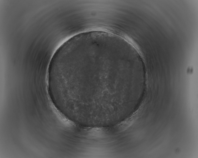 X0000090761028200708031626