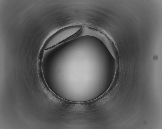 X0000090761029200708031626