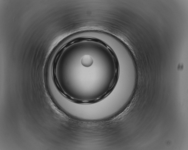 X0000090761030200708031626