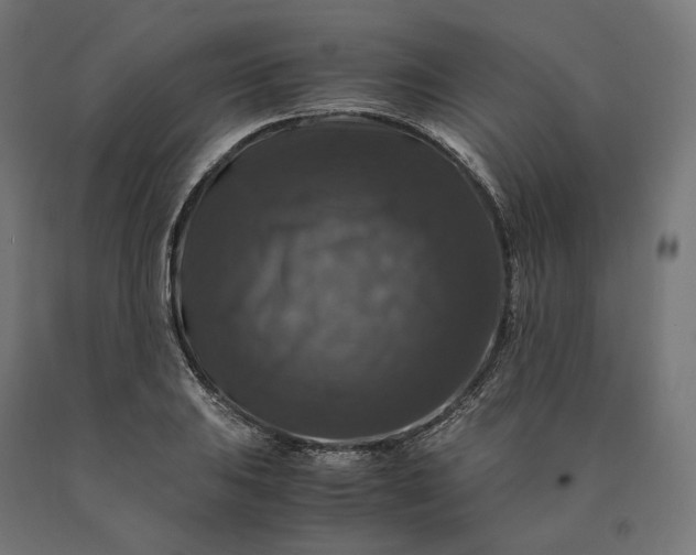 X0000090761031200708031626