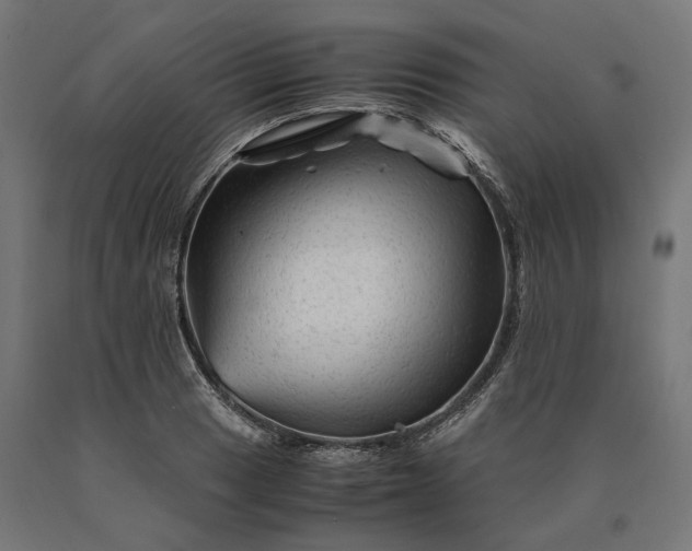 X0000090761033200708031626