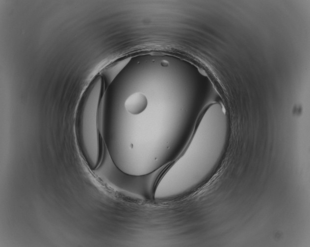 X0000090761034200708031626