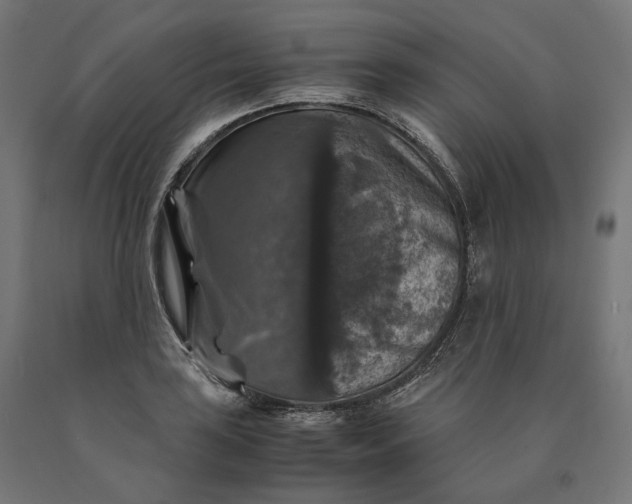 X0000090761035200708031626