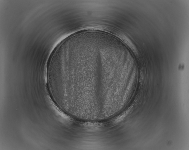 X0000090761036200708031626