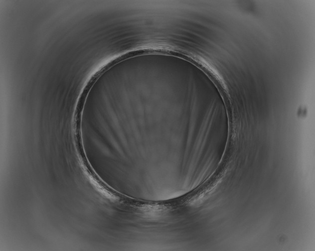 X0000090761037200708031626