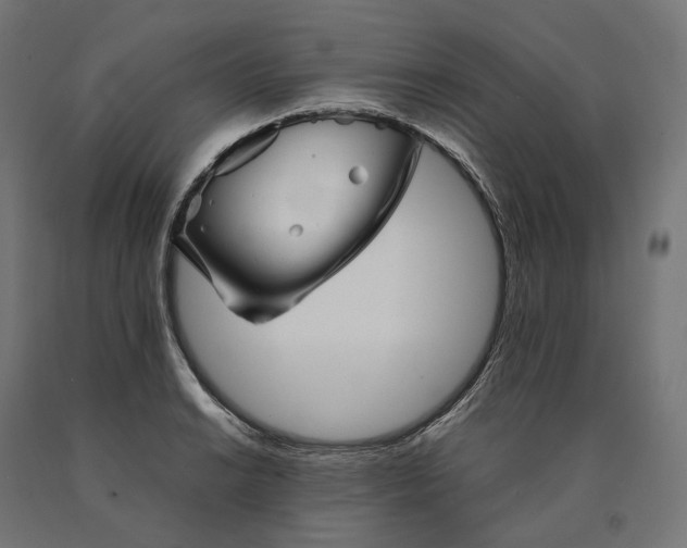 X0000090761038200708031626