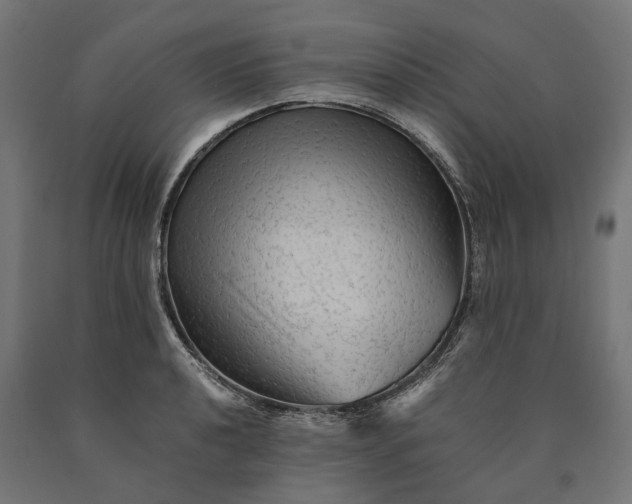 X0000090761040200708031626