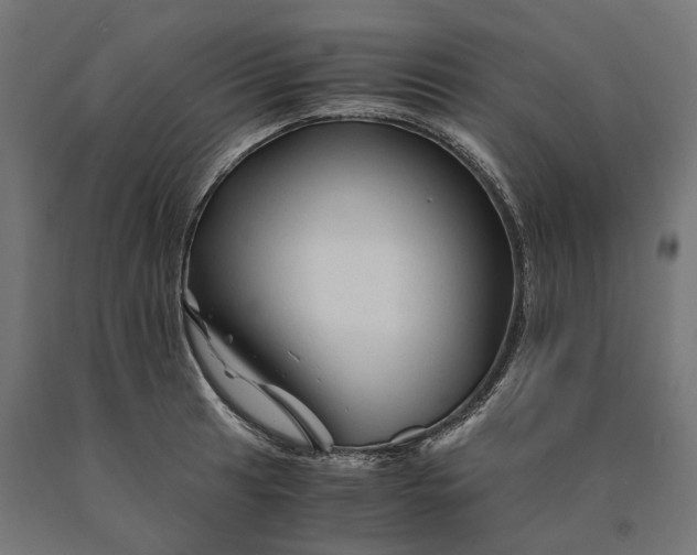 X0000090761041200708031626