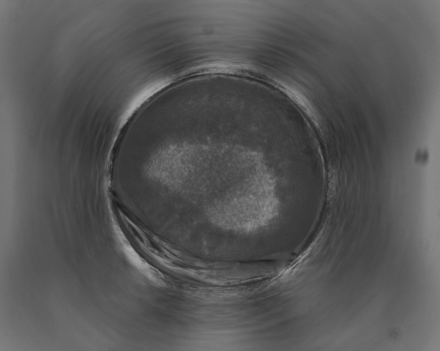 X0000090761042200708031626