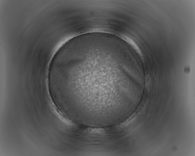 X0000090761043200708031626