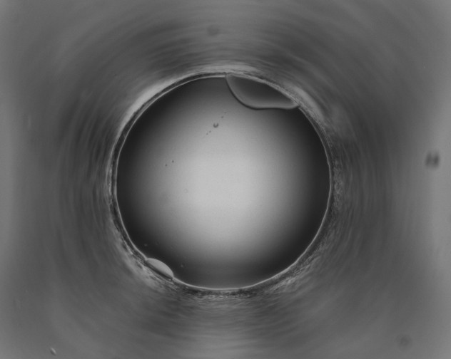 X0000090761044200708031626