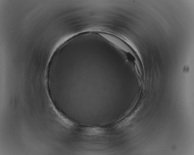 X0000090761045200708031626