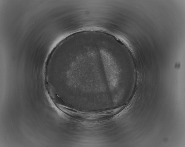 X0000090761046200708031626