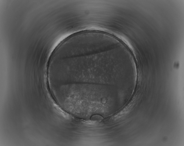 X0000090761048200708031626