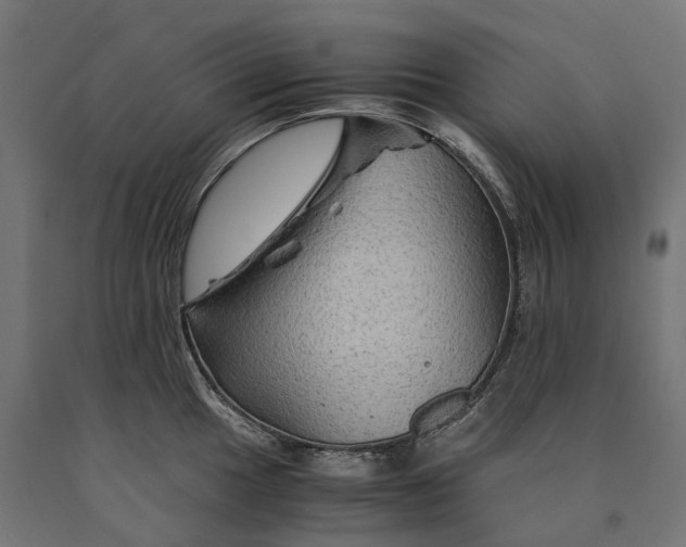 X0000090761049200708031626