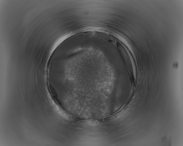 X0000090761050200708031626