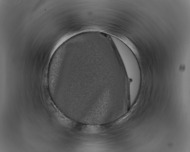 X0000090761052200708031626