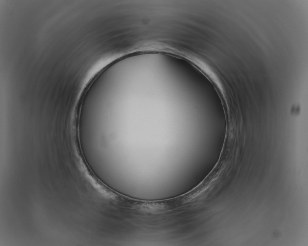 X0000090761053200708031626