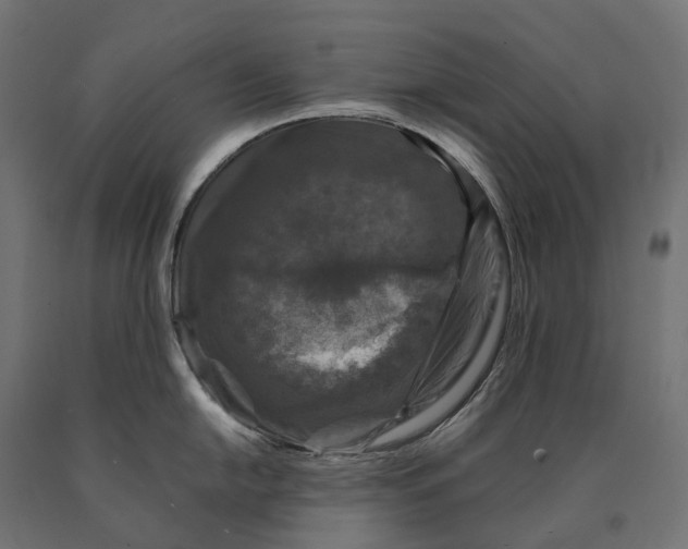 X0000090761054200708031626