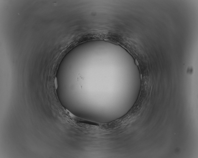 X0000090761057200708031625