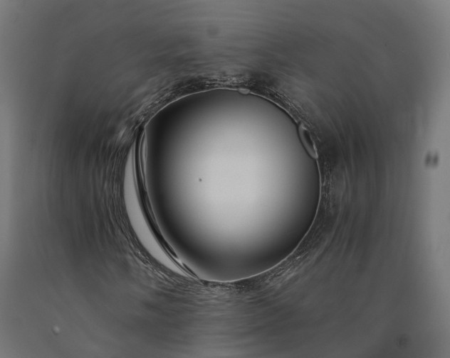 X0000090761058200708031625