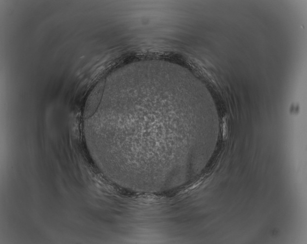 X0000090761059200708031625