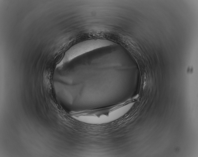 X0000090761060200708031625