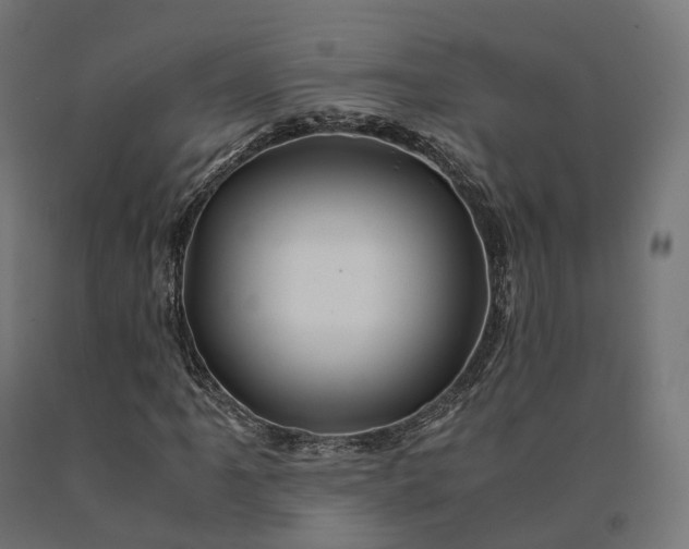 X0000090761061200708031625