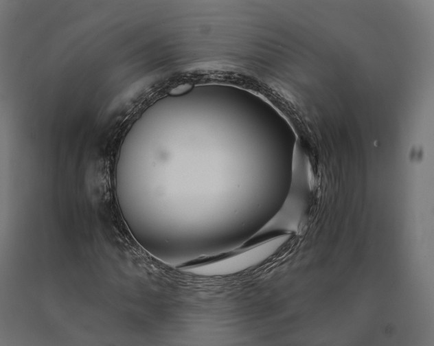 X0000090761062200708031625