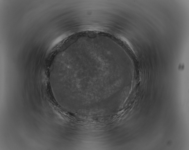 X0000090761064200708031625