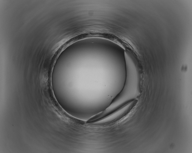 X0000090761065200708031625