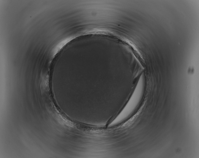 X0000090761066200708031625