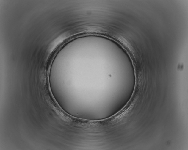 X0000090761067200708031625