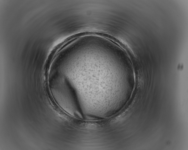 X0000090761070200708031625