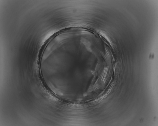 X0000090761071200708031625