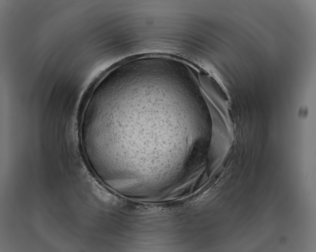 X0000090761072200708031625