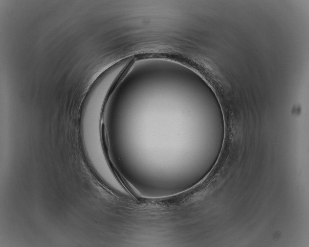 X0000090761073200708031625