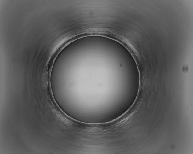 X0000090761075200708031625