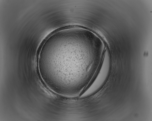 X0000090761076200708031625