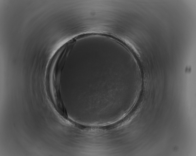 X0000090761077200708031625