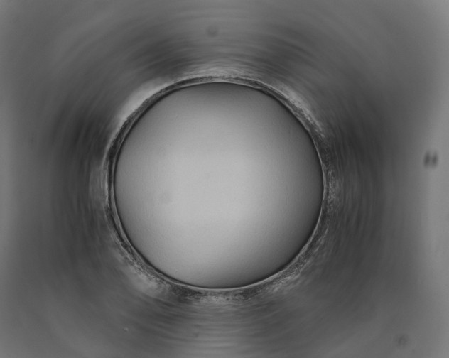 X0000090761078200708031625